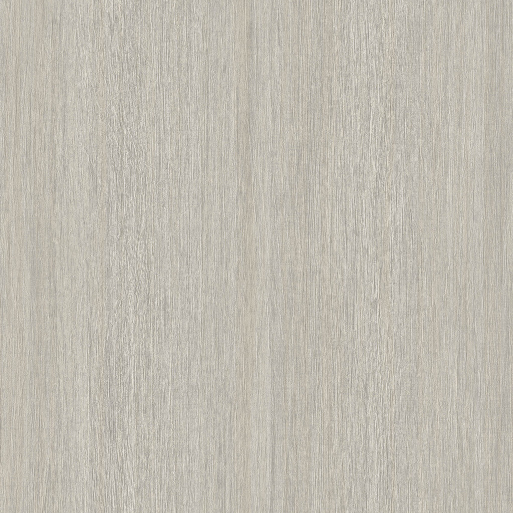 Amsterdam Branch Out Silver Fir Wallcovering | Phillipe Romano