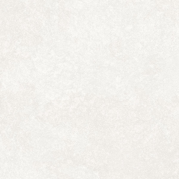 Amsterdam Bespoke Plaster Rock Salt Wallcovering | Phillipe Romano