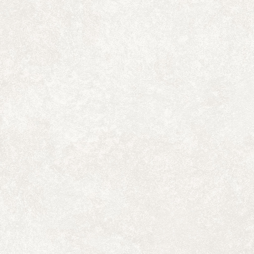 Amsterdam Bespoke Plaster Rock Salt Wallcovering | Phillipe Romano