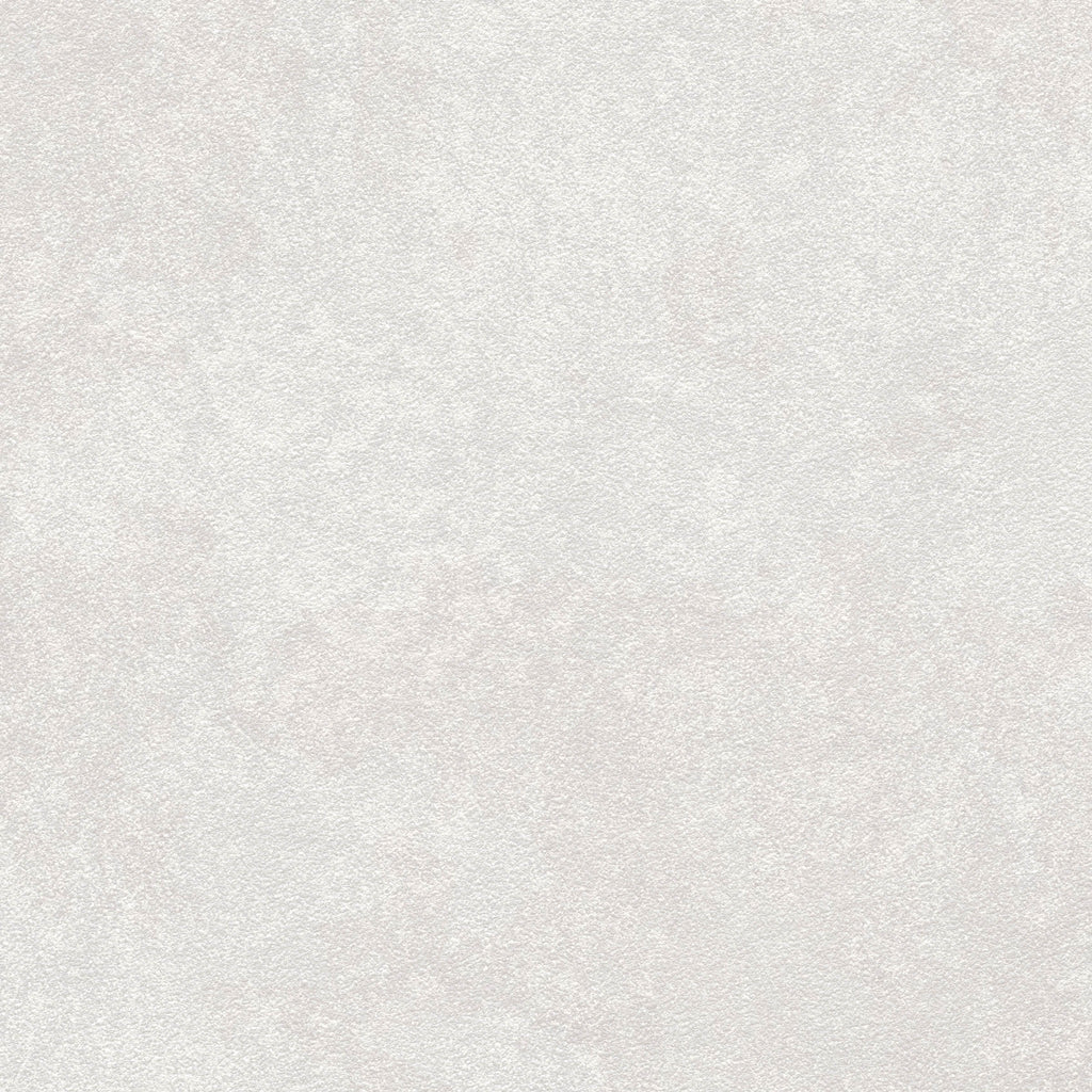 Amsterdam Bespoke Plaster Mineral Wallcovering | Phillipe Romano