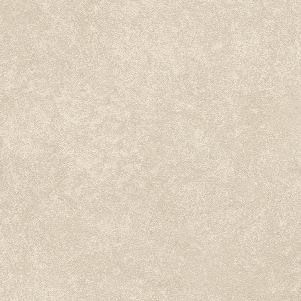 Amsterdam Bespoke Plaster Sand Pebble Wallcovering | Phillipe Romano