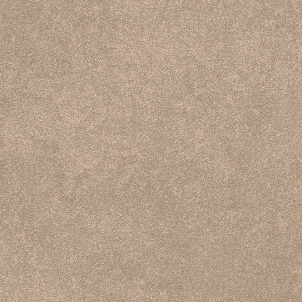 Amsterdam Bespoke Plaster Clay Wallcovering | Phillipe Romano