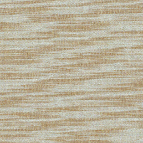 Amsterdam Cabana Grass Platinum Wallcovering | Phillipe Romano