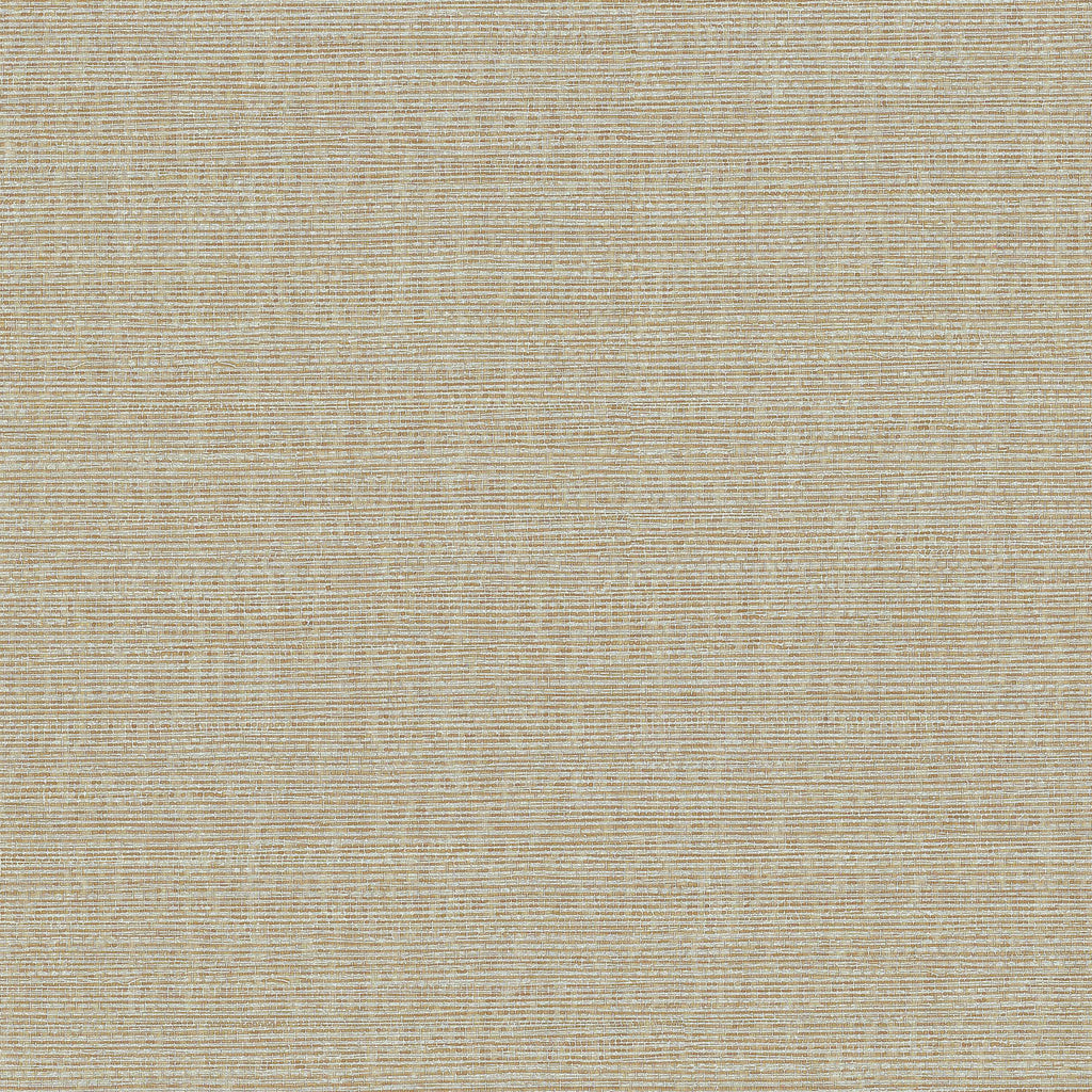 Amsterdam Cabana Grass Platinum Wallcovering | Phillipe Romano