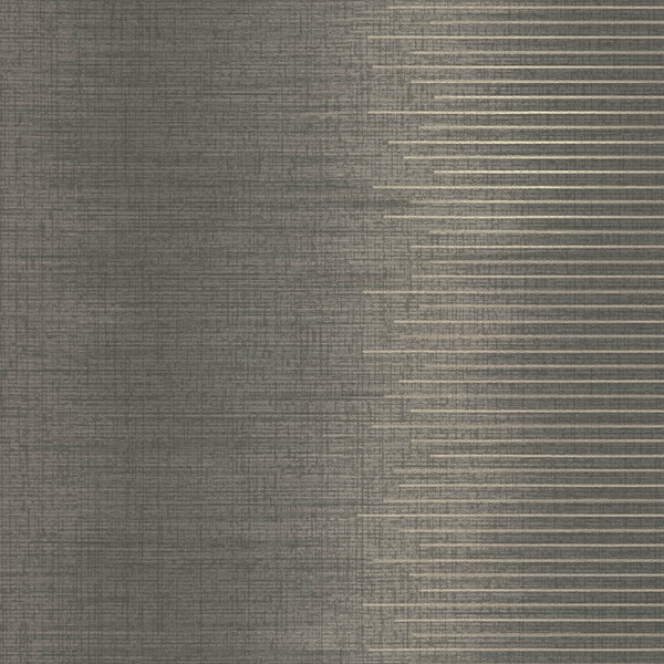 Amsterdam Chameleon Stripe Infinite Grey Wallcovering | Phillipe Romano