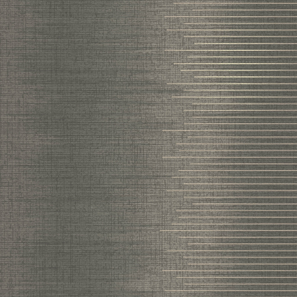 Amsterdam Chameleon Stripe Infinite Grey Wallcovering | Phillipe Romano