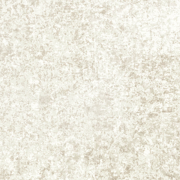 Amsterdam Concrete Alabaster Wallcovering | Phillipe Romano