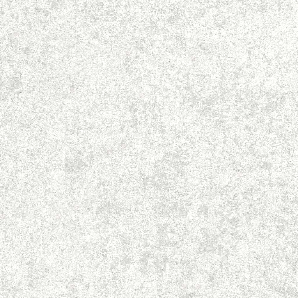 Amsterdam Concrete Dolomite Wallcovering | Phillipe Romano