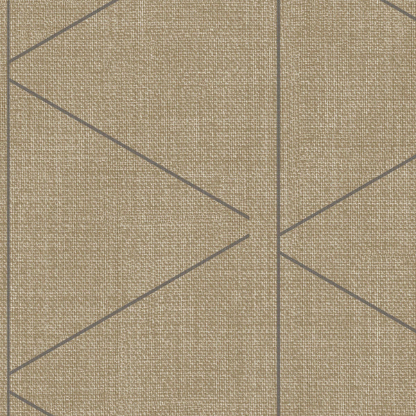 Amsterdam Desert Peak Prairie Suede Wallcovering | Phillipe Romano
