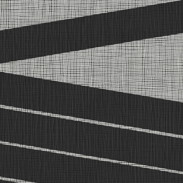 Amsterdam Epic Lines Black Tie Wallcovering | Phillipe Romano