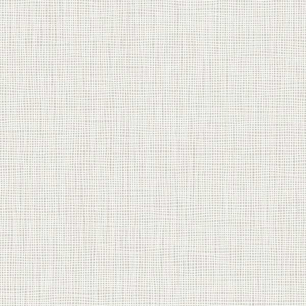 Amsterdam Epic Gossamer Wallcovering | Phillipe Romano