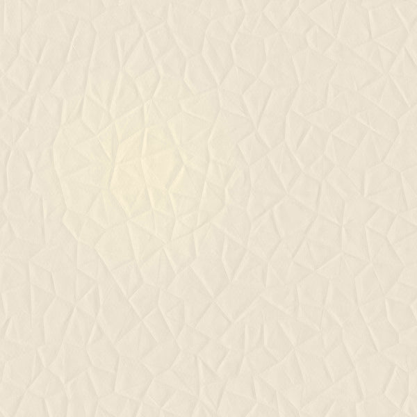 Amsterdam Facets White Tulip Wallcovering | Phillipe Romano