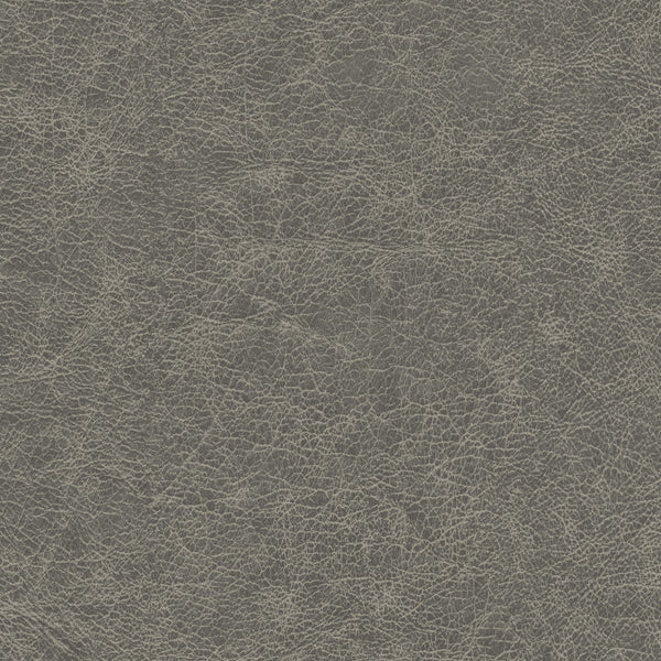 Amsterdam Saffian Leather Aged Charcoal Wallcovering | Phillipe Romano