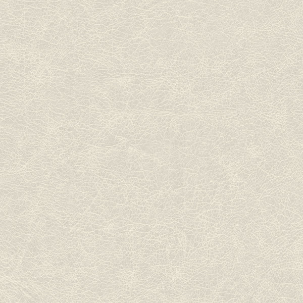 Amsterdam Saffian Leather Luxe Wallcovering | Phillipe Romano