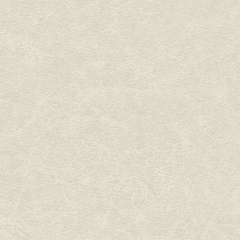 Amsterdam Saffian Leather Luxe Wallcovering | Phillipe Romano