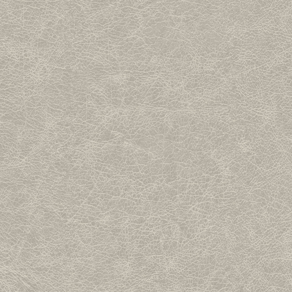 Amsterdam Saffian Leather Elephant Wallcovering | Phillipe Romano