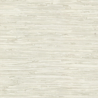 Kravet Design - W3520-116 Ivory Natural Wallcovering | Kravet