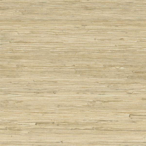 Kravet Design - W3566-16 Beige Natural Wallcovering | Kravet
