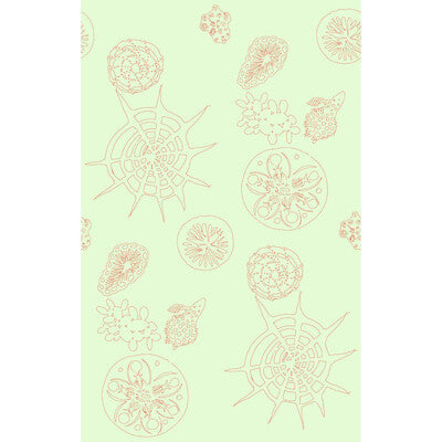 Telescopic P - Coral Sea Turquoise | Kravet Couture | Paperscape Artist Series | Novelty Wallcovering Print