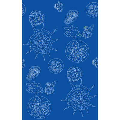 Telescopic P - Nautics Blue | Kravet Couture | Paperscape Artist Series | Novelty Wallcovering Print