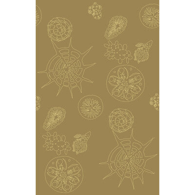 Telescopic P - Sanddollar Wheat | Kravet Couture | Paperscape Artist Series | Novelty Wallcovering Print