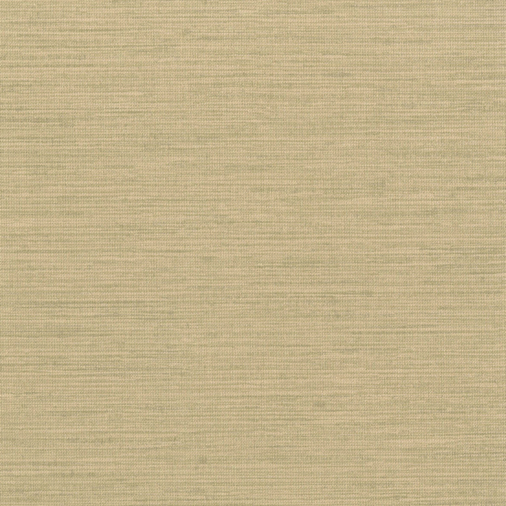 W3639-4 Wheat | Kravet Design | Solid Texture Wallcovering