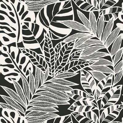 Kravet Design - W3774-8 Black | Kravet Design | Botanical & Floral Wallcovering Print