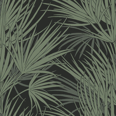 Kravet Design - W3781-8 Black | Kravet Design | Tropical Wallcovering Print