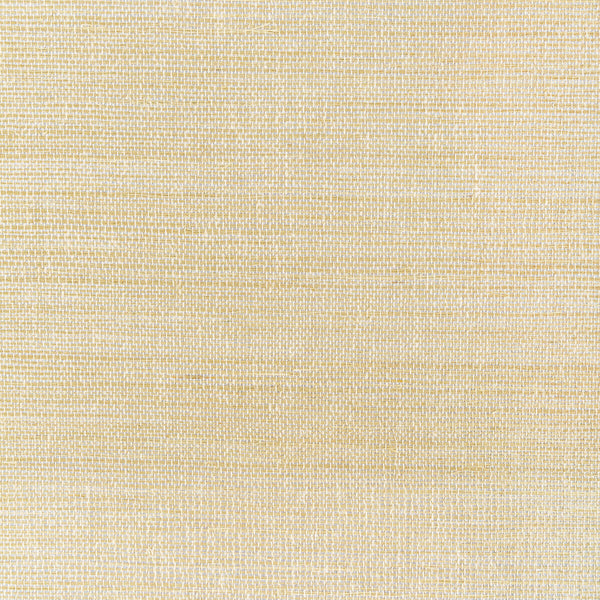 Luxe Sisal - Gold Gold | Kravet Couture | Modern Luxe Wallcovering | Solid Texture Wallcovering
