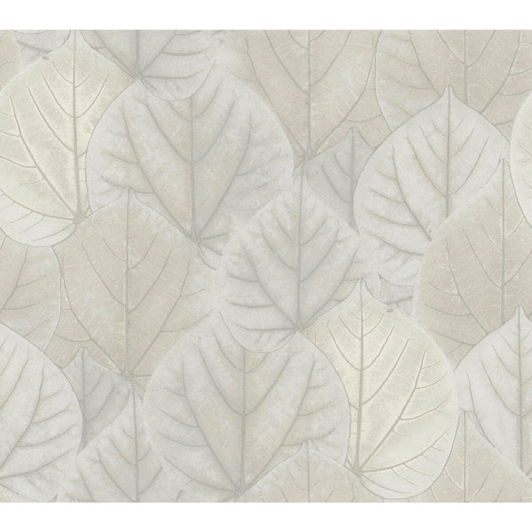 Kravet Design - W3880-1101 Light Grey | Kravet Design | Candice Olson Modern Nature 2Nd Edition | Botanical & Floral Metallic Wallcovering Print