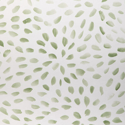 Petal Blossom Wp - Sage Green | Kravet Couture | Atelier Wallcovering | Botanical & Floral Modern Wallcovering Print