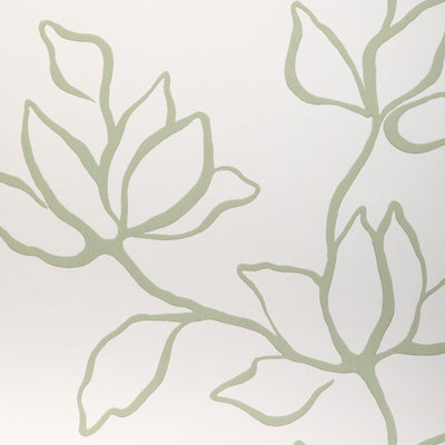 Floral Sketch Wp - Sage Green | Kravet Couture | Atelier Wallcovering | Botanical & Floral Wallcovering Print