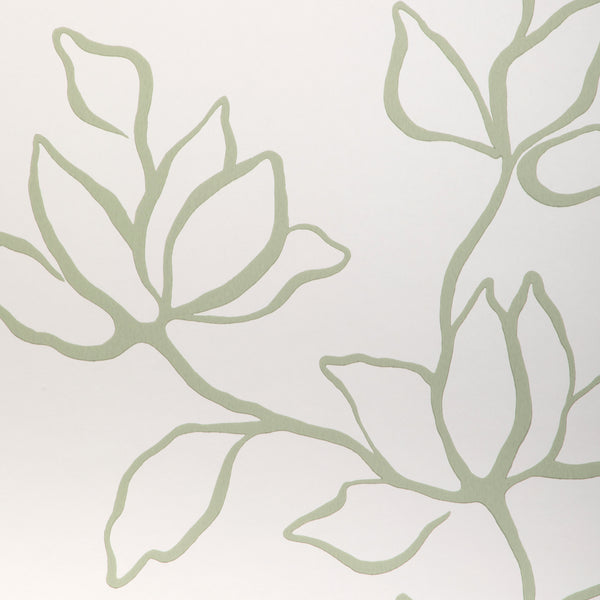 Floral Sketch Wp - Sage Green | Kravet Couture | Atelier Wallcovering | Botanical & Floral Wallcovering Print