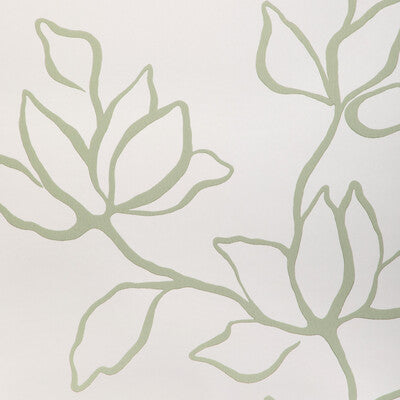Floral Sketch Wp - Sage Green | Kravet Couture | Atelier Wallcovering | Botanical & Floral Wallcovering Print