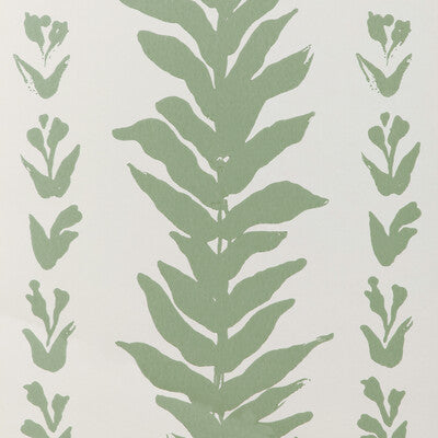 Climbing Leaves Wp - Sage Green | Kravet Couture | Atelier Wallcovering | Botanical & Floral Wallcovering Print