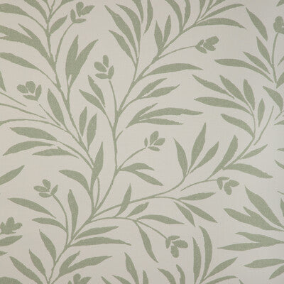 Wispy Vines Wp - Lichen Green | Kravet Couture | Atelier Wallcovering | Botanical & Floral Wallcovering Print