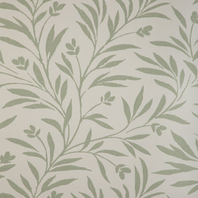Wispy Vines Wp - Lichen Green | Kravet Couture | Atelier Wallcovering | Botanical & Floral Wallcovering Print