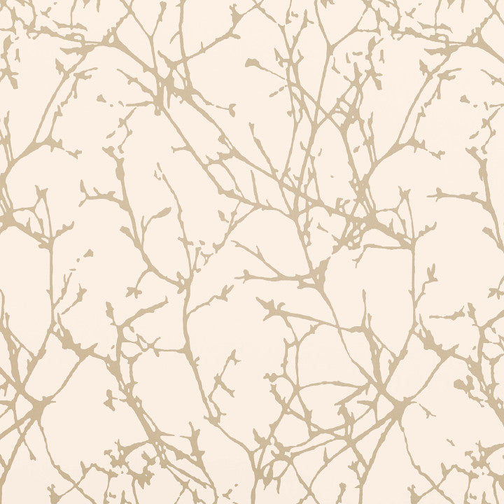 Arbor, Oyster