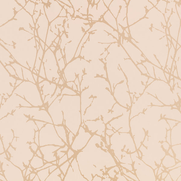 Arbor Wild - Rose Wallcovering | Romo