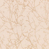 Shiri, Shell