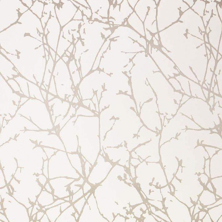 Arbor, Ivory