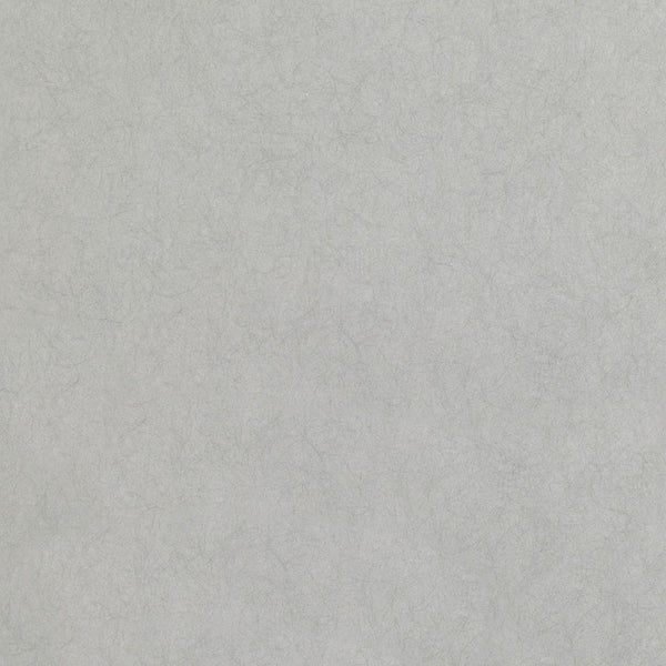 Asper, Silver Wallcoverings | Romo