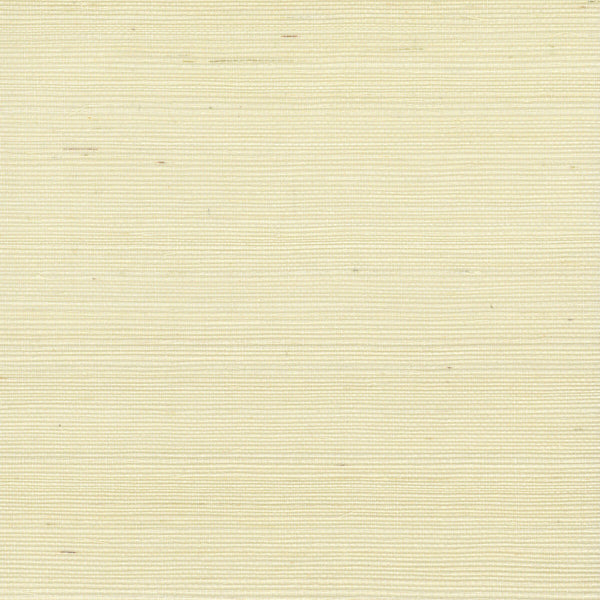 W4003-1 White | Kravet Design | Elements Ii Naturals | Solid Texture Wallcovering Grasscloth