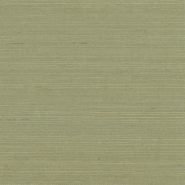 Kravet Design - W4003-303 Green Natural Wallcovering | Kravet