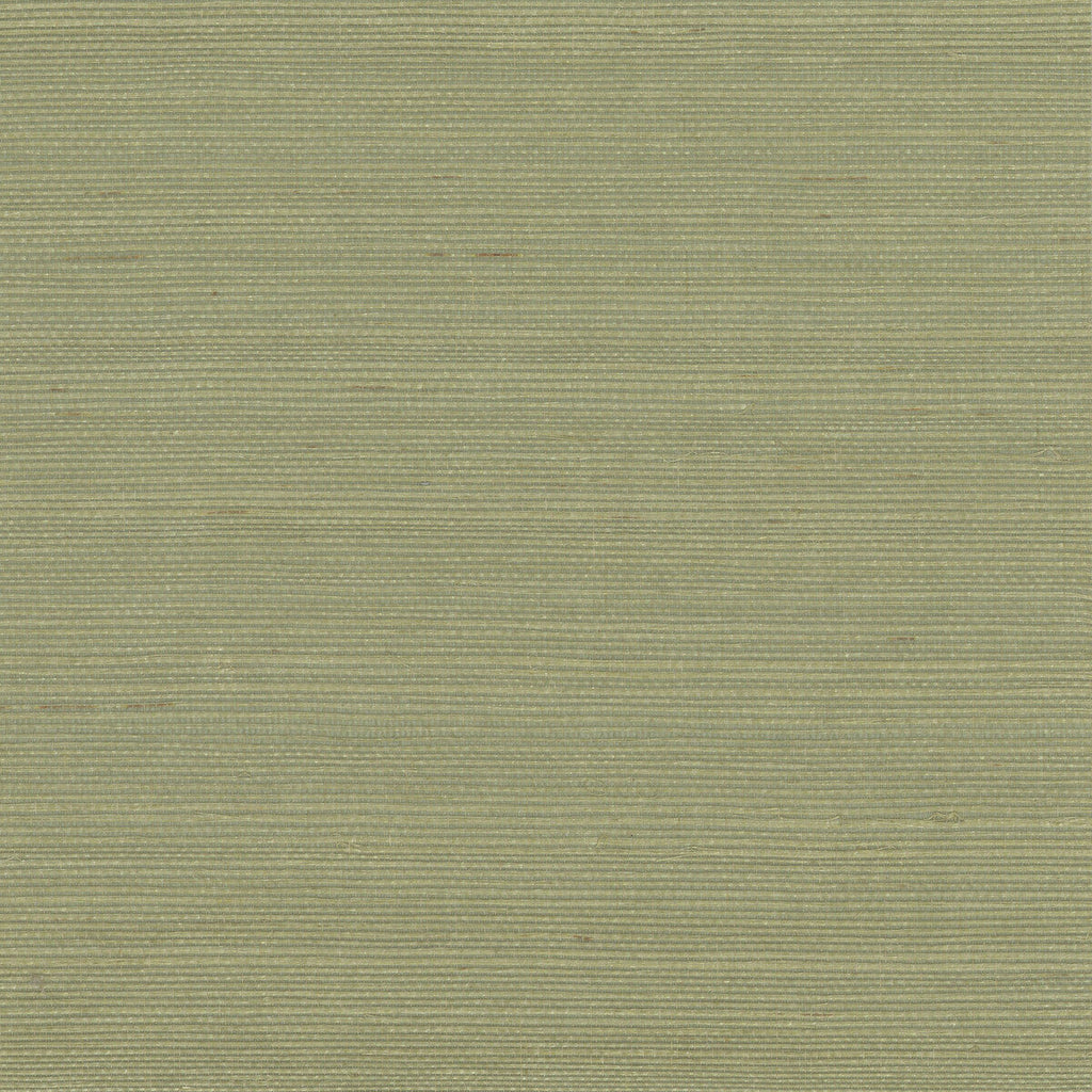Kravet Design - W4003-303 Green | Kravet Design | Elements Ii Naturals | Solid Texture Wallcovering Grasscloth