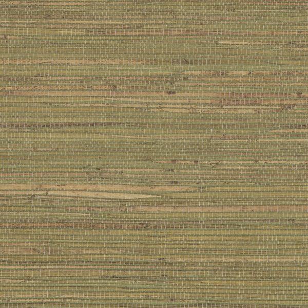 Kravet Design - W4007-316 Sage | Kravet Design | Elements Ii Naturals | Solid Texture Wallcovering Grasscloth