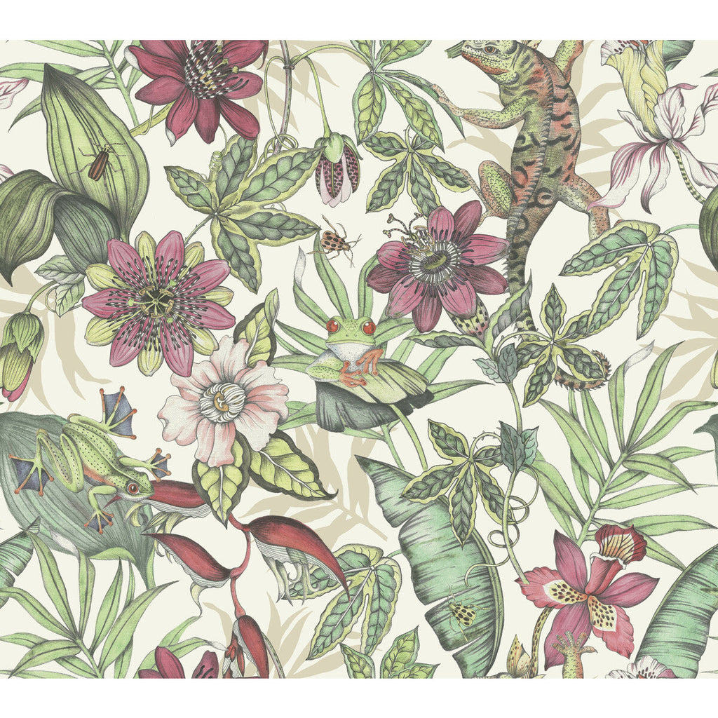 Kravet Design - W4131-719 Pink | Kravet Design | Blooms Second Edition Resource Library | Botanical & Floral Wallcovering Print
