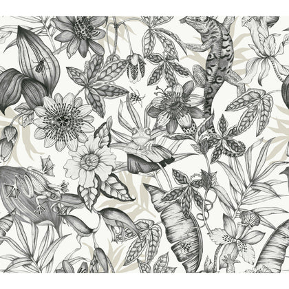 W4131-8 Charcoal | Kravet Design | Blooms Second Edition Resource Library | Botanical & Floral Wallcovering Print