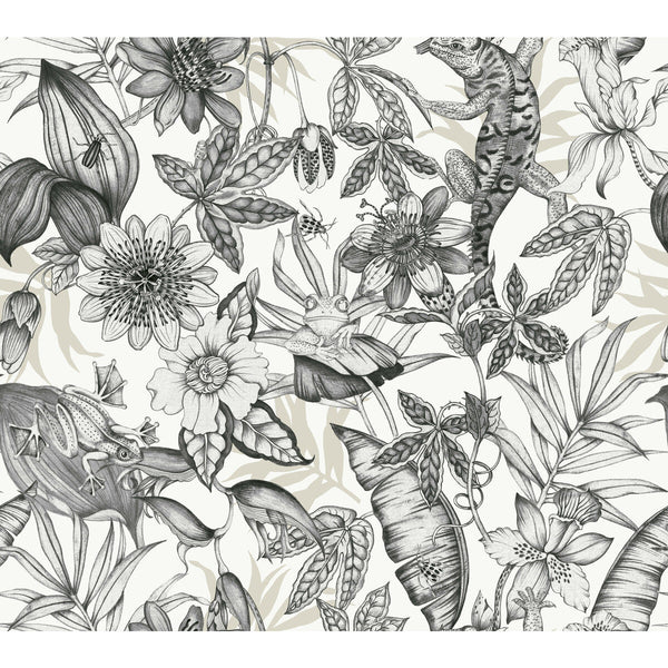 W4131-8 Charcoal | Kravet Design | Blooms Second Edition Resource Library | Botanical & Floral Wallcovering Print