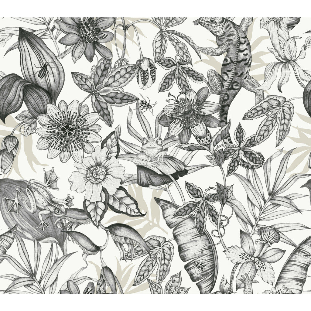 Kravet Design - W4131-8 Charcoal | Kravet Design | Blooms Second Edition Resource Library | Botanical & Floral Wallcovering Print